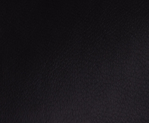 ALECTO - 3001