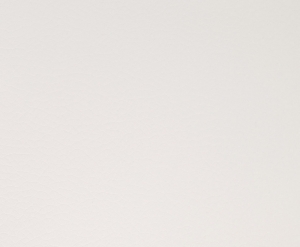 ALECTO - 3002