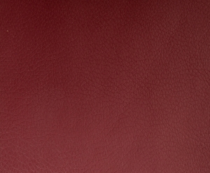 ALECTO - 3011