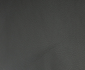 ALECTO - 3022