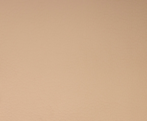 ALECTO - 3028