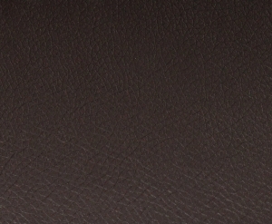 ALECTO - 3029
